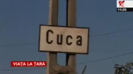 CODUL MUNCII. Ce poti face daca angajatorul vrea sa te trimita la Cuca Macaii